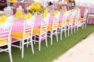 Plastic Chiavari Chair for Kids Party Use