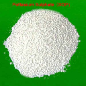 High Quality Agriculture Fertilizers Sop White Powder / Potassium Sulfate